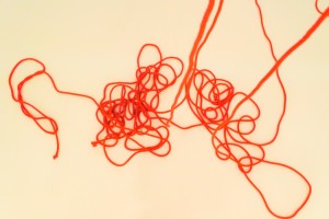 ロープアーティスト一鬼のこ×つながる赤い縄の世界 -『Red』の撮影現場へ-